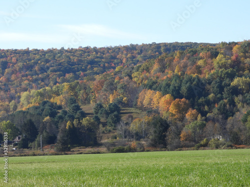 Autumn colors