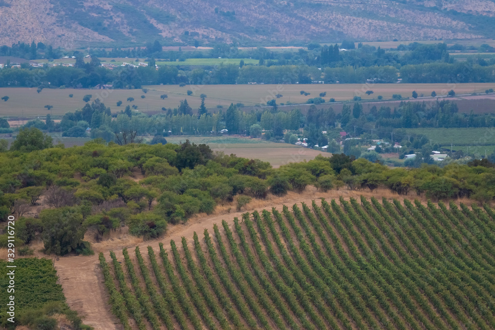 fazenda de vinícola na Cordilheira dos Andes no Chile