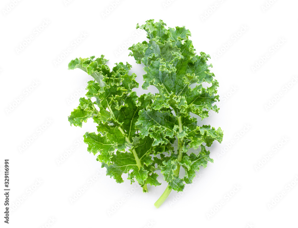 Obraz premium Kale cabbage vegetable leaf isolated on white background.