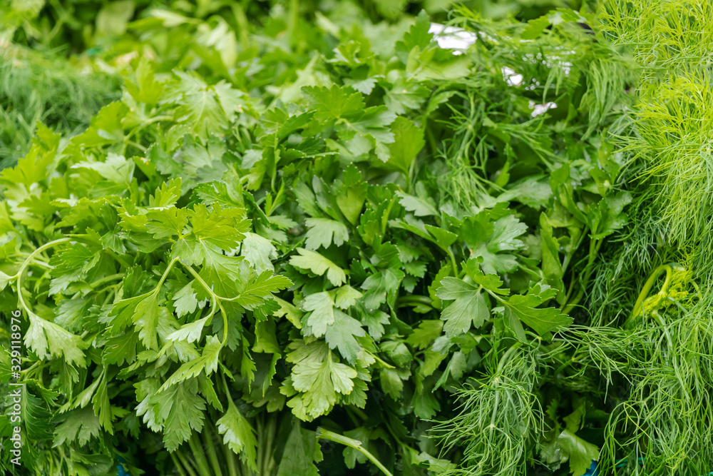 close up of green vegetables, persil and coriander from garden for sale at supermarket. close up of green vegetables, persil and coriander from garden for sale at supermarket.