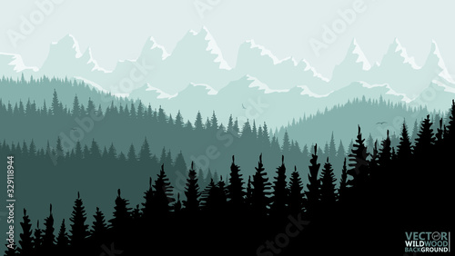 Fototapeta Naklejka Na Ścianę i Meble -  Tranquil backdrop, pine forests, mountains in the background. greenish blue tones, flying birds. Reflection and glare from the sun on the mountain tops.