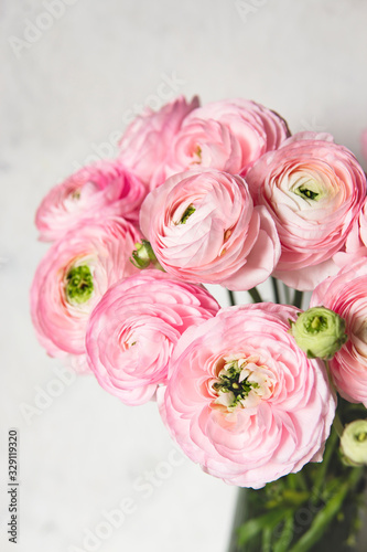 Ranunculus asiaticus or Persian Buttercup. Bouquet of pastel pink blossom . White background, glass vase. Greeting card with copy space. Birthday, Mother's, Women's Day concept.