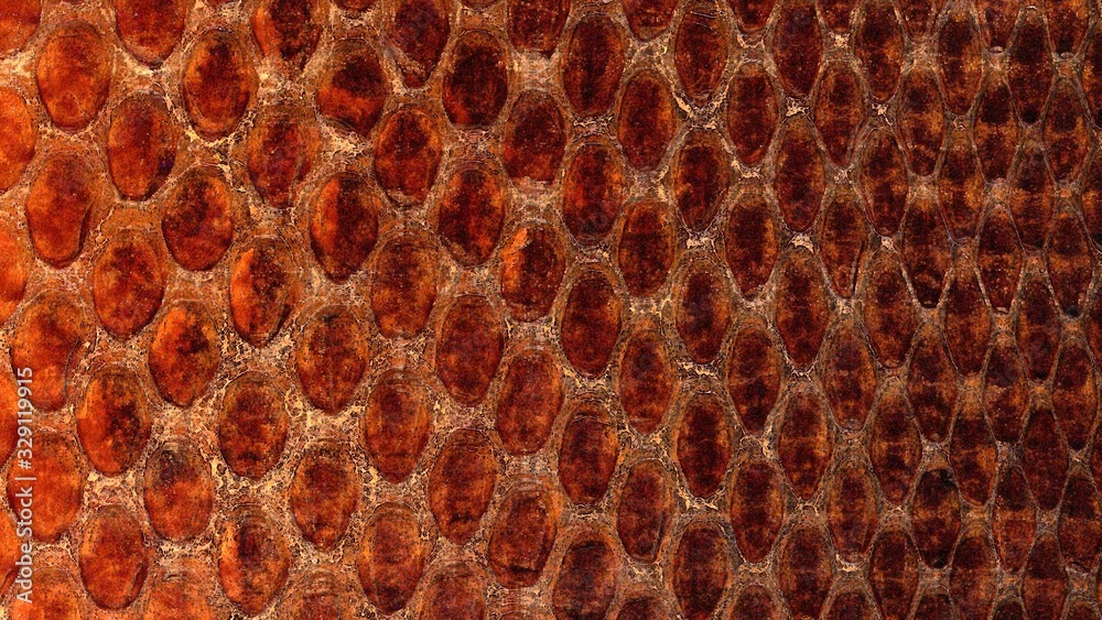 abstract snake skin background abstract snake skin background
