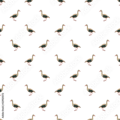 Birds Photo Motif Seamless Pattern © danflcreativo