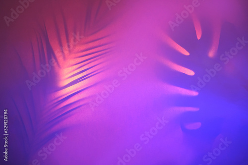 Contrast shadows of tropical leaves in trendy duotone neon backlight. Abstract backdrop for your design.