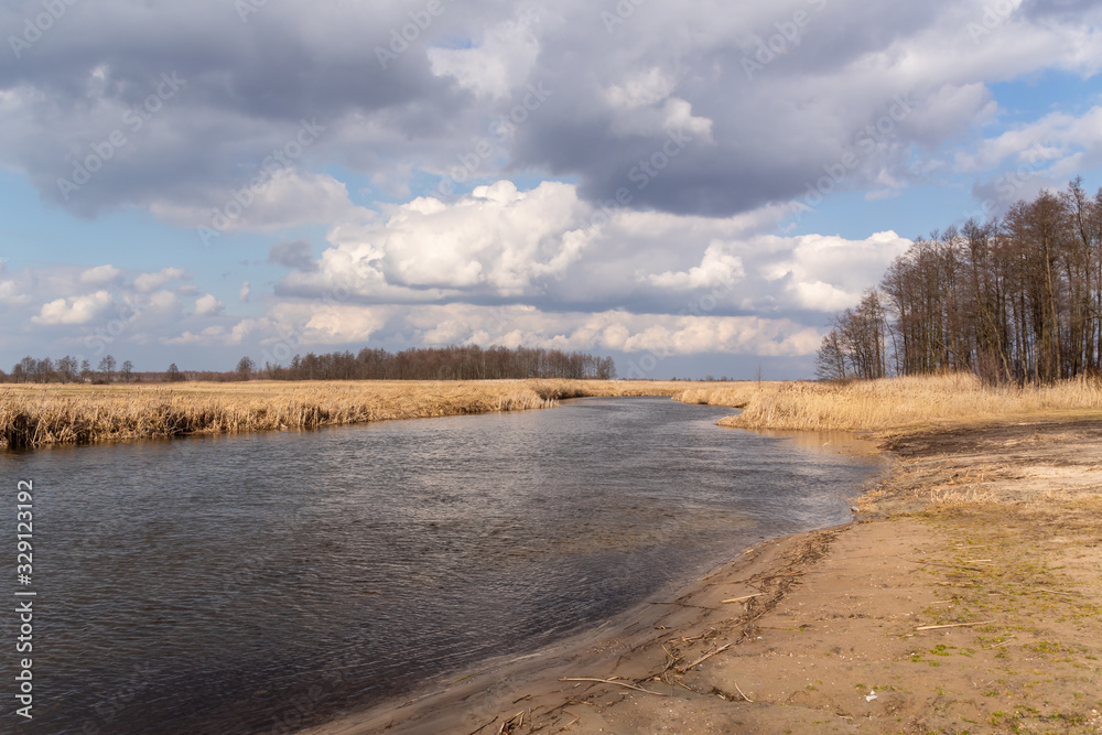 Rzeka Biebrza wiosną. Biebrzański Park Narodowy, Podlasie, Polska Rzeka Biebrza wiosną. Biebrzański Park Narodowy, Podlasie, Polska