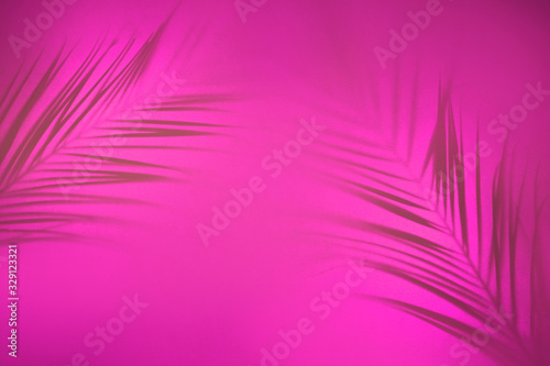 Abstract background of shadows palm leaves on pink backdrop in backlight. Creative concept. © Anna Efetova