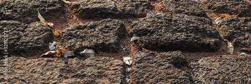 Stone pavement in an ancient temple