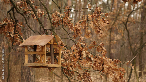 Bird feeder made with kindness on oak in early spring © Olexandr