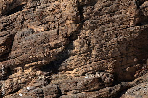 Snow leopard cubs relaxing on the rocks of deep gorge near Kibber village, Spiti valley of Himachal Pradesh, India