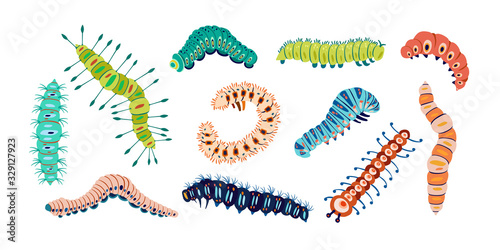 Set spring and summer colorful caterpillars. Pretty caterpillars different silhouette on white background. For festive card, banner, children, pattern, tattoo, decorative, concept. Vector illustration photo