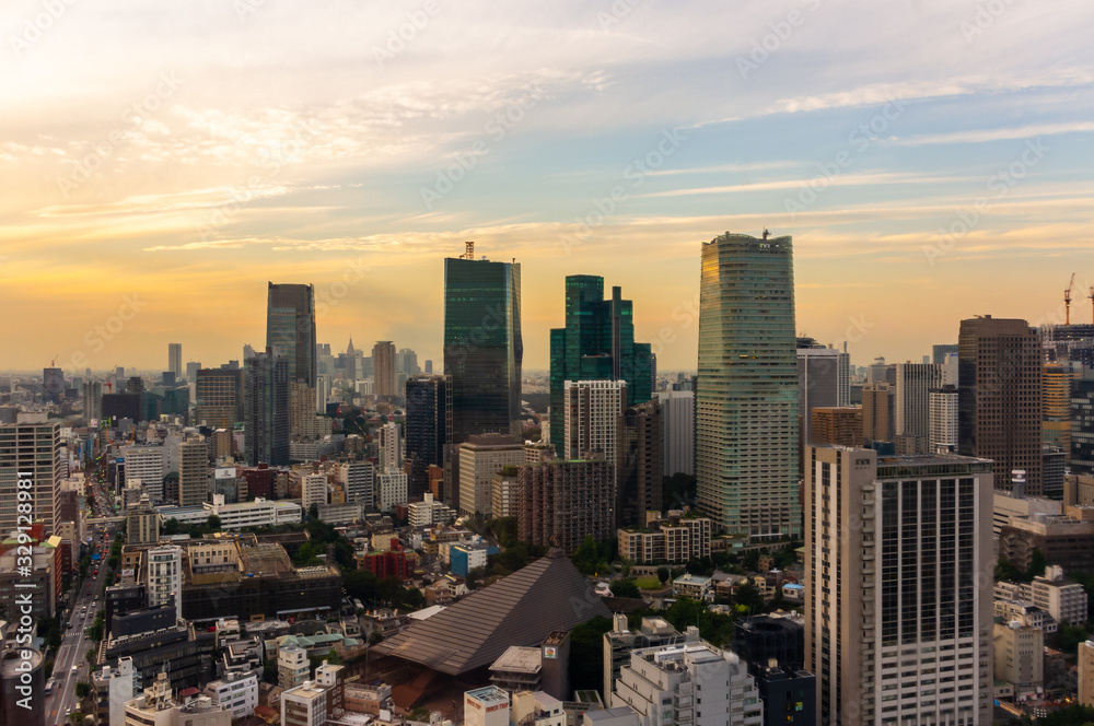 Fototapeta premium Tokyo Sunset