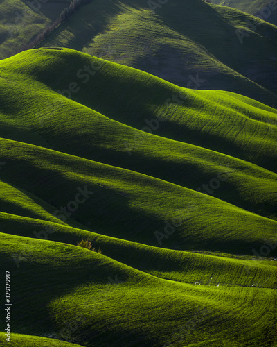 Colline di Lajatico