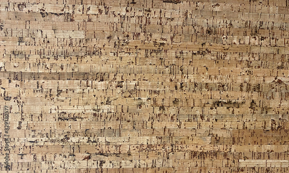 Natural wooden pith a texture a beige background