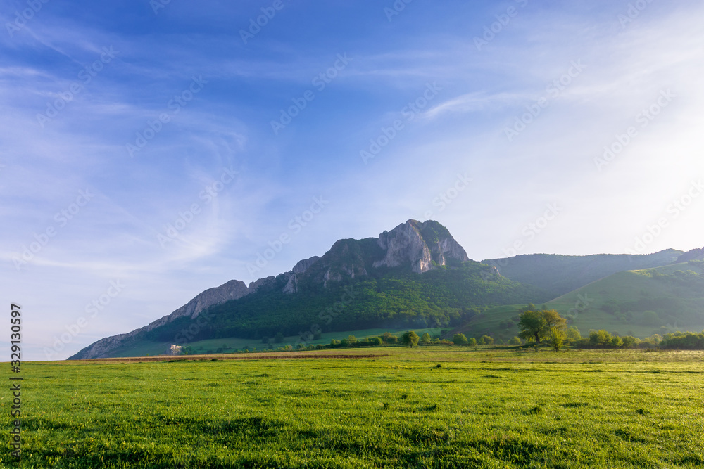 rock formation on the field at sunrise. beautiful rural landscape in mountains. wonderful scenery in spring. clouds on the blue sky. forest on the hills