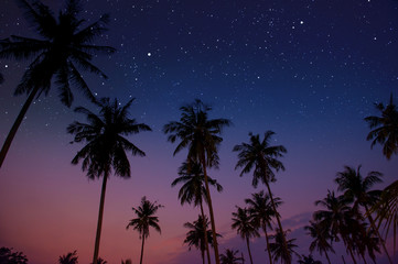 Starry night sky against with coconut palm tree and romantic evening twilight sky