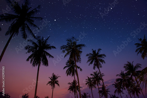 Starry night sky against with coconut palm tree and romantic evening twilight sky © OHishi_Foto