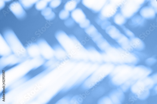 blurred shadow of a palm leaf on a white background. tinted classic blue color 2020