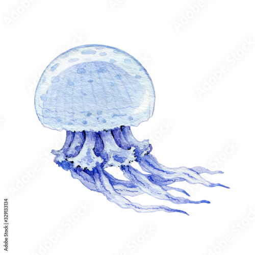 Blue Jellyfish Hand Drawn Watercolor Image Beautiful Tropical Underwater Medusa Creature Cartoon Image Swimming Jellyfish Side View Illustration Sea Life Jelly Fish Isolated On White Background Stock Illustration Adobe Stock