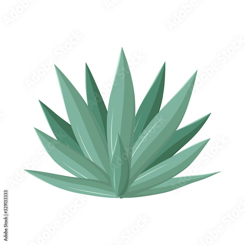 Vector illustration of agave and tequila logo. Graphic of agave and blue stock vector illustration.