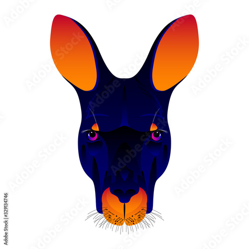 Abstract kangaroo head isolated on white. Graphic cartoon kangaroo portrait painted in imaginary colors for design card, invitation, banner, book, scrapbook, t-shirt, poster, album etc.