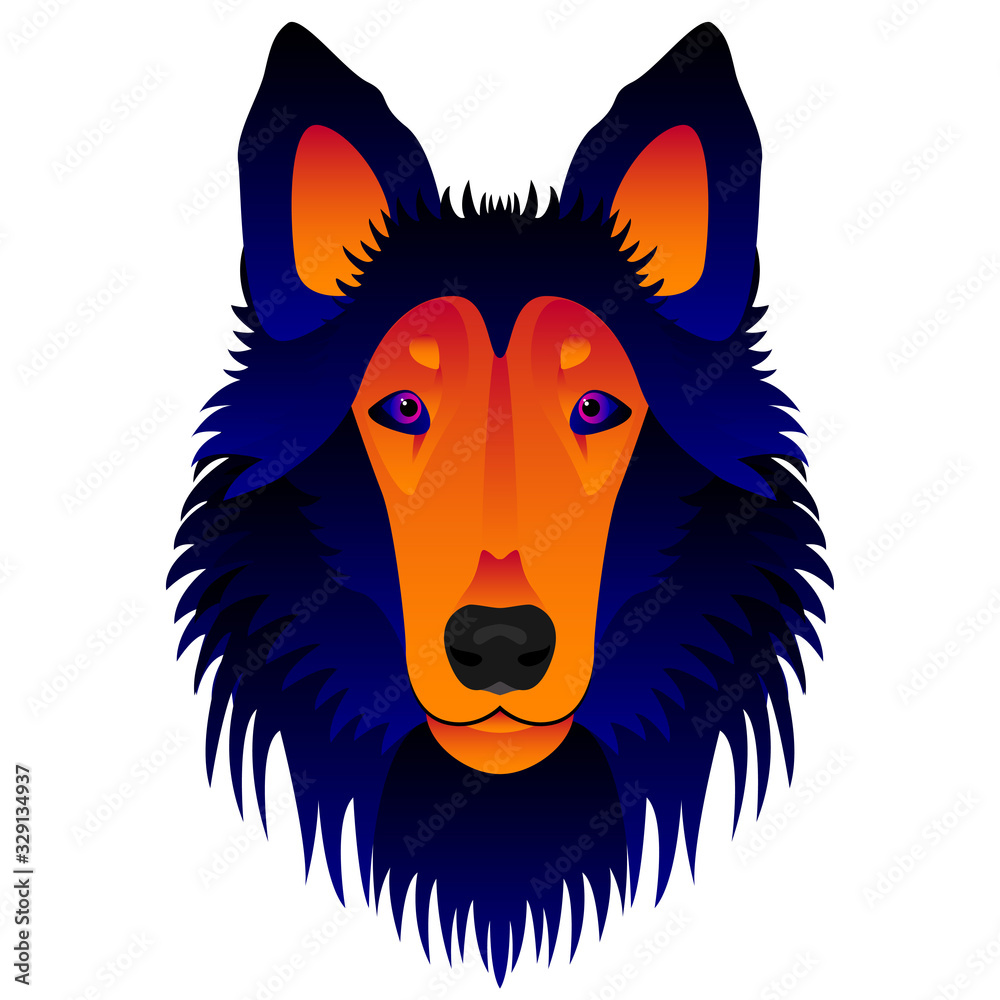 Naklejka premium Abstract collie dog head isolated on white. Graphic cartoon collie dog portrait painted in imaginary colors for design card, invitation, banner, book, scrapbook, t-shirt, poster etc.