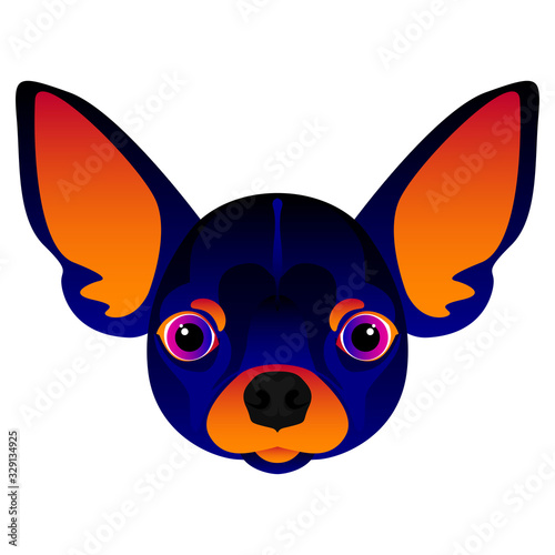 Abstract chihuahua dog head isolated on white. Graphic cartoon chihuahua dog portrait painted in imaginary colors for design card, invitation, banner, book, scrapbook, t-shirt, poster etc.