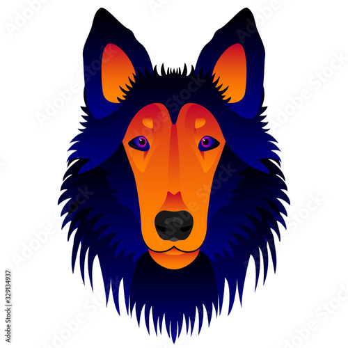 Abstract collie dog head isolated on white. Graphic cartoon collie dog portrait painted in imaginary colors for design card, invitation, banner, book, scrapbook, t-shirt, poster etc.