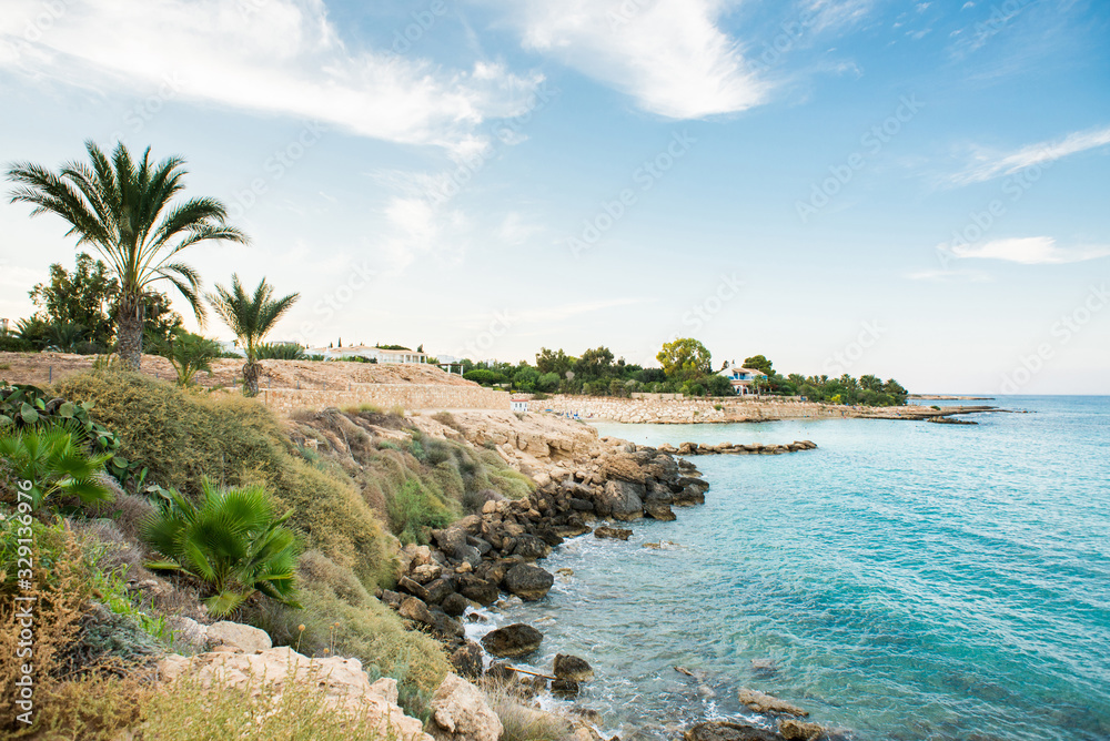 Cyprus. Mediterranean Picturesque Landscape with Palm Trees.