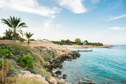 Cyprus. Mediterranean Picturesque Landscape with Palm Trees.