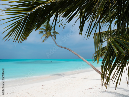 Palm Tree on Beach on Maldives with Cloudy Sky. © BooblGum