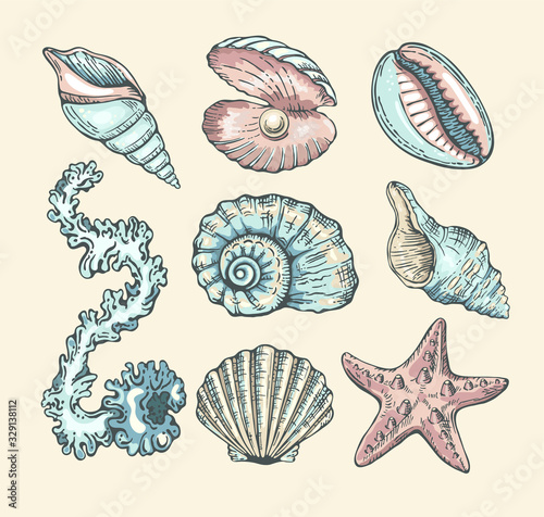 Vector cartoon set with seashells, pearl, seaweed and starfish. Vector collection in sketch style for your design. Isolated on white background.