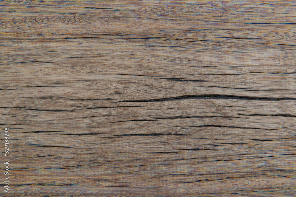 Empty space wood wall texture background for website, magazine , graphic design and presentations Empty space wood wall texture background for website, magazine , graphic design and presentations