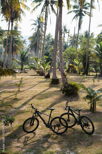 Two sports bicycles against coconut palm trees background © ANR Production