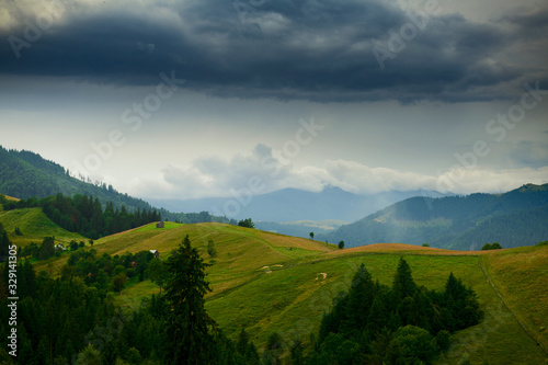 dark stormy sky in carpathian mountains, wildflowers and meadow, spruces on hills, beautiful nature, summer landscape