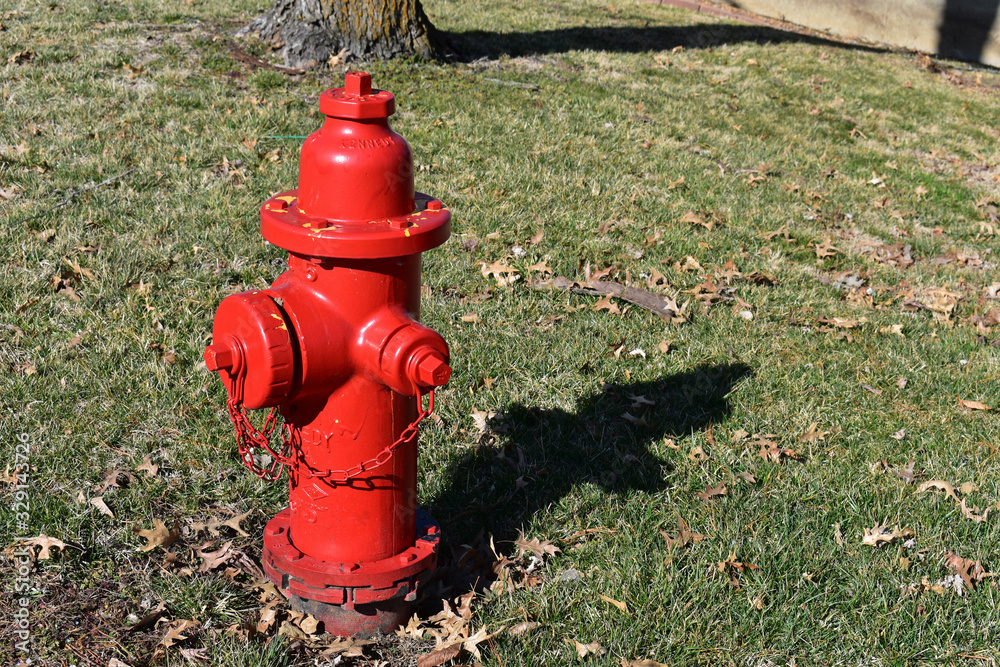 red fire hydrant in the park