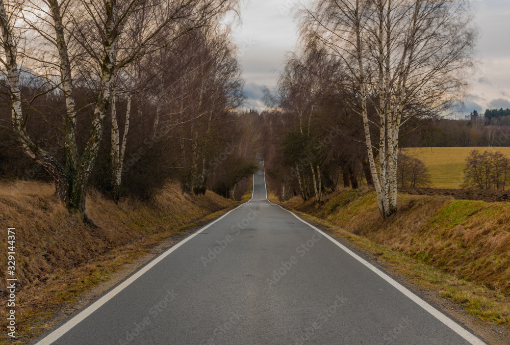 Road near Ceske Budejovice city in south Bohemia in winter cloudy day Road near Ceske Budejovice city in south Bohemia in winter cloudy day