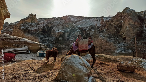 Horse and little pony with volcanic stone landscape in Goreme national park in Cappadocia, Turkey