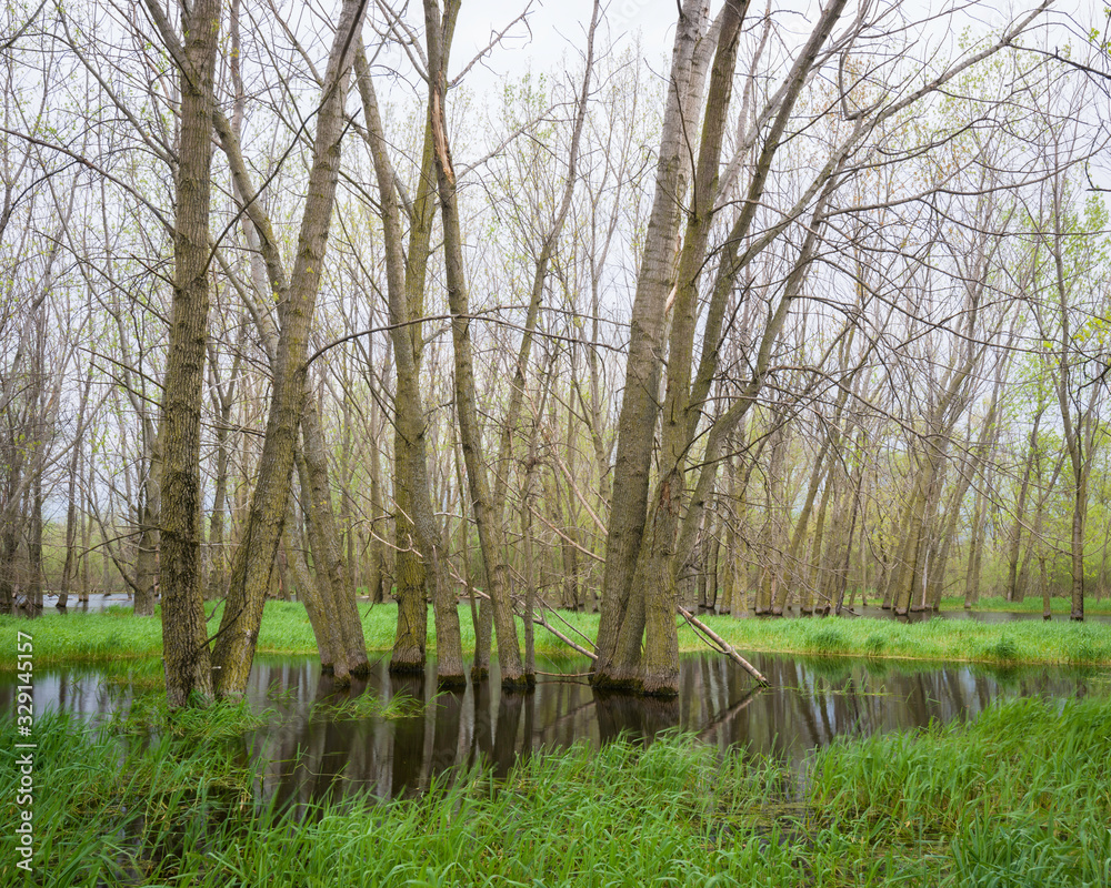 Spring rains create vernal pools and habitat for waterfowl and other wildlife. Spring rains create vernal pools and habitat for waterfowl and other wildlife.