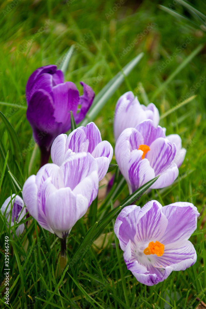 Ostern Ostern