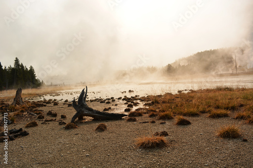 Mysterious landscape - Yellowstone National Park