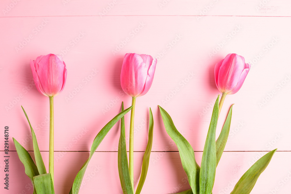 Top view of three small vivid pink tulip flowers and green leaves on a pink painted wooden table, beautiful indoor floral background photographed with small focus