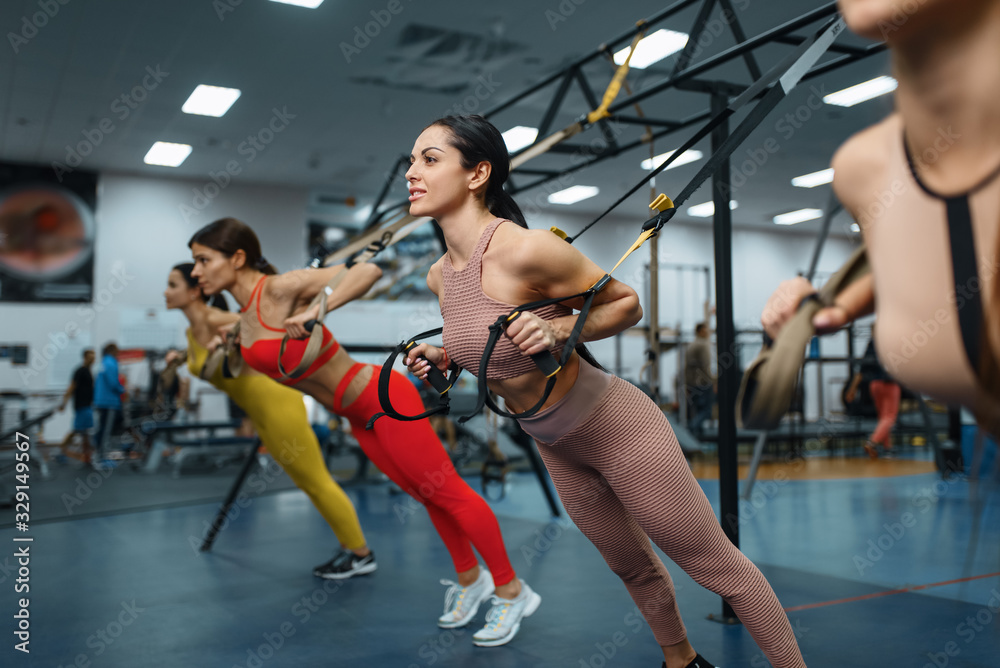 Fototapeta premium Group of women doing fit exercise in gym