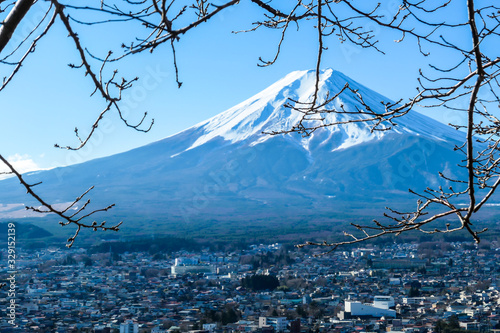 A few tree branches with flower buds on, disturbing a clear, distant view on Mt Fuji in Japan on a clear, wintery day. The top parts of the volcano are covered with a layer of snow. Holly mountain