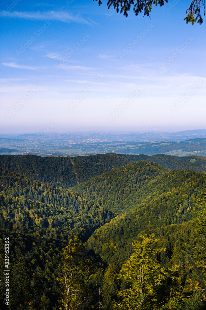 Naklejka premium Autumn Forest in Beskids mountains