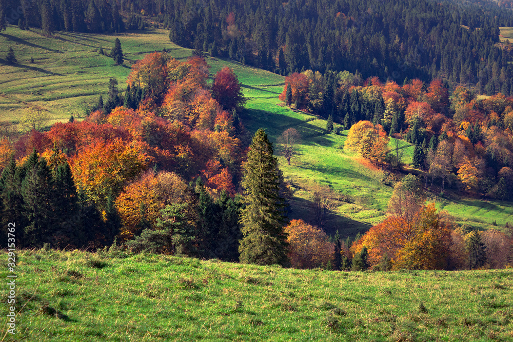 Autumn in Pieniny mountains. View from Beskid Sadecki nearby Rozdziela Pass.