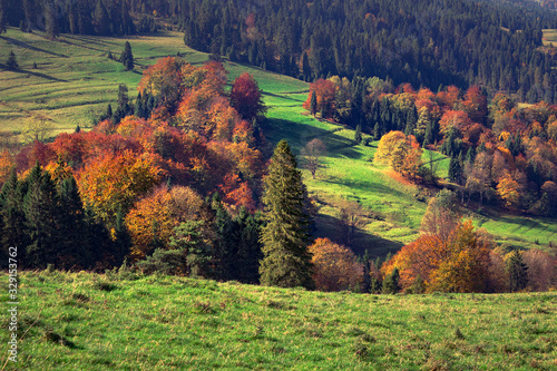 Autumn in Pieniny mountains. View from Beskid Sadecki nearby Rozdziela Pass.