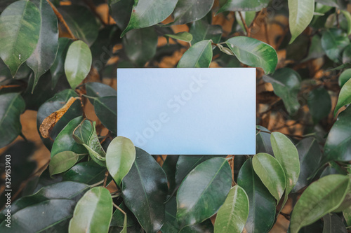 White business card visiting card mockup template