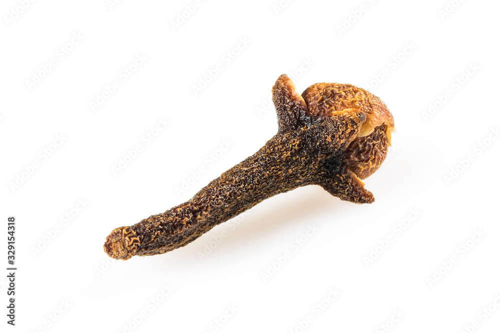 Cloves spice. Two dried cloves, macro close-up Isolated on white background, with light shadow. Cloves spice. Two dried cloves, macro close-up Isolated on white background, with light shadow.