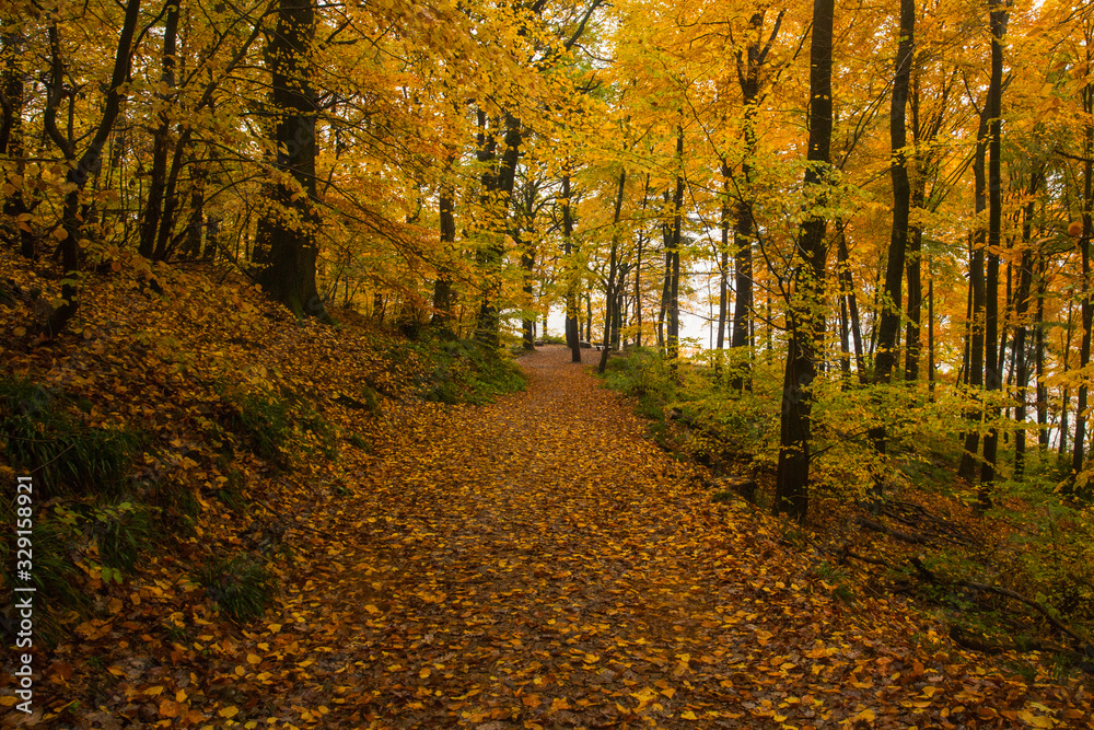 Autumn Park in Heidelberg